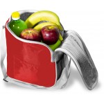 Cooler Bag (VE14)