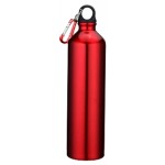 Sport Bottle de Aluminio (TE7)